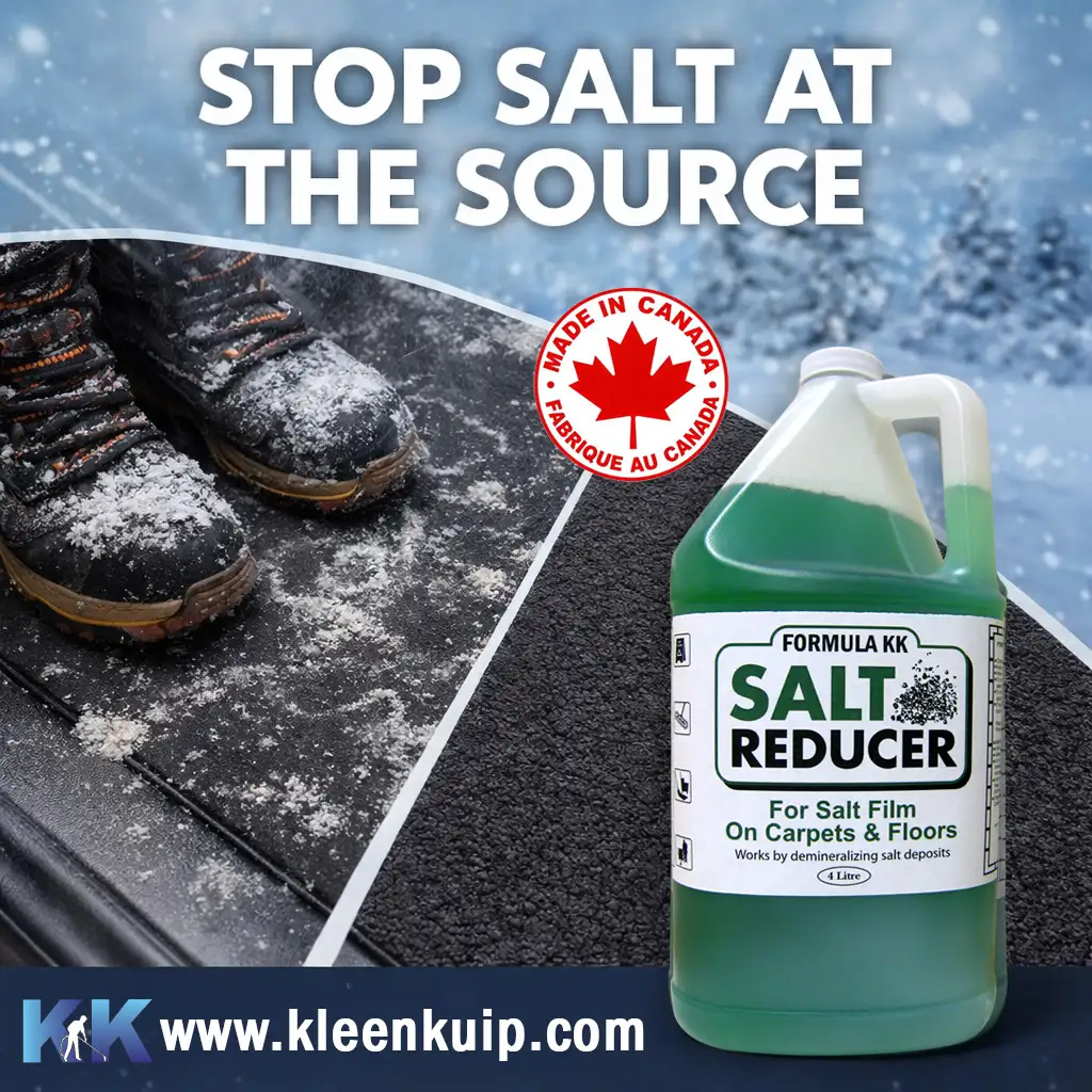 spring carpet cleaning toronto salt stain removal