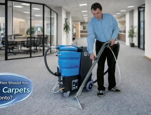 How Often to Clean Carpets in Toronto