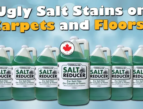 Spring Carpet Cleaning in Toronto: Removing Salt, Dirt & Winter Build-Up